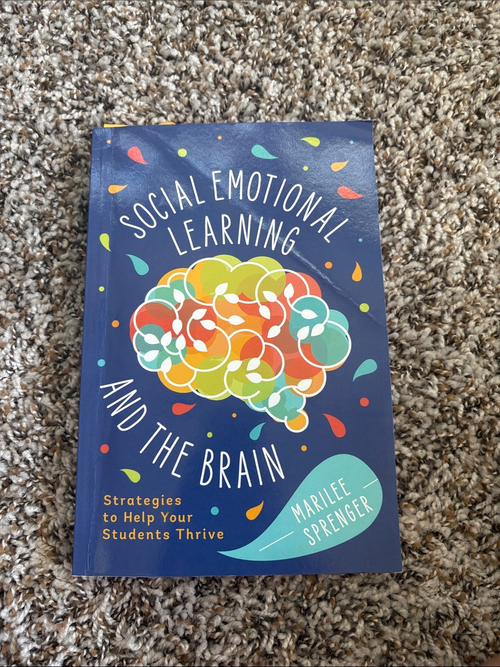 Social Emotional Learning and the Brain - Marilee Sprenger
